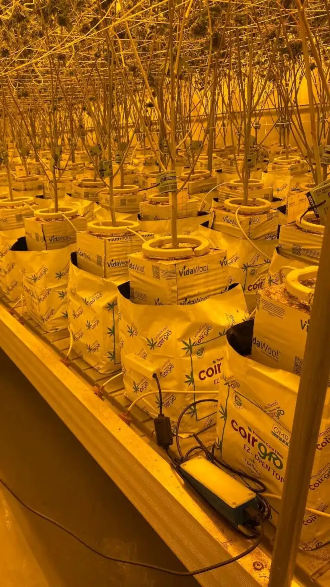 Soil Moisture and EC Sensor Data Logger with METERGROUP's TEROS-12 sensor